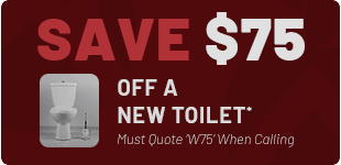 New Toilet Discount in Oakton*